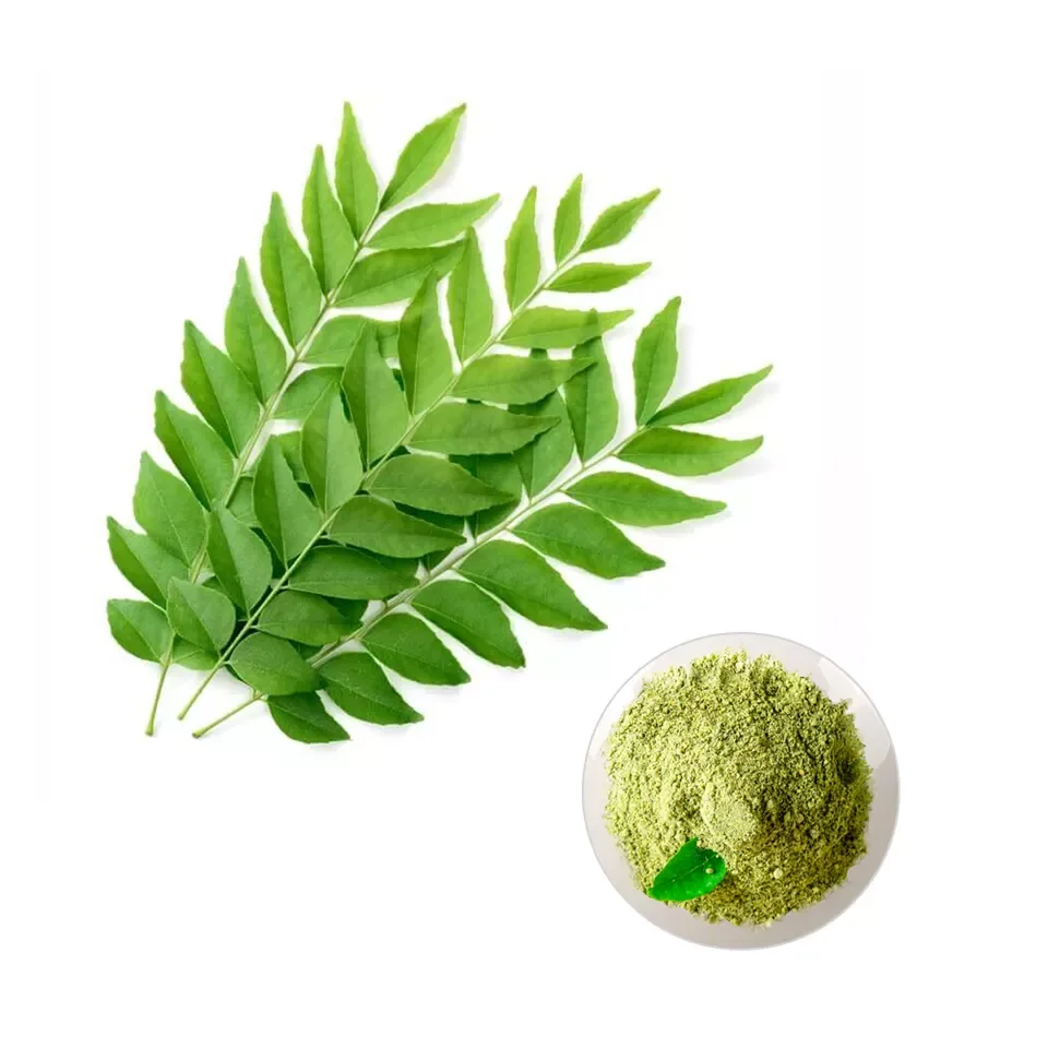 Best Quality for Dehydrated Vegetable Curry Powder for Cooking Flavour Available Customized Jars at Bulk Price for Export