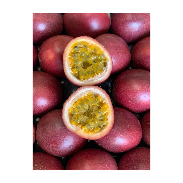 competitive price Passion fruit new season crop fresh customized size orange yellow green top quality  best seller wholesale del