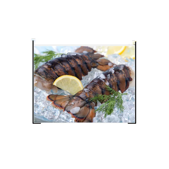 Frozen Lobster Frozen Lobster Tails Fresh Live Lobsters