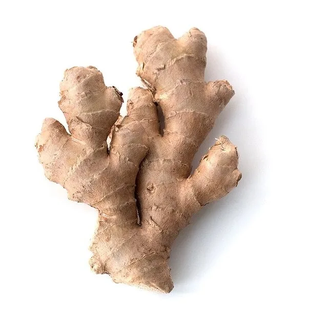 fresh ginger and air dry ginger with cardboard box and plastic carton