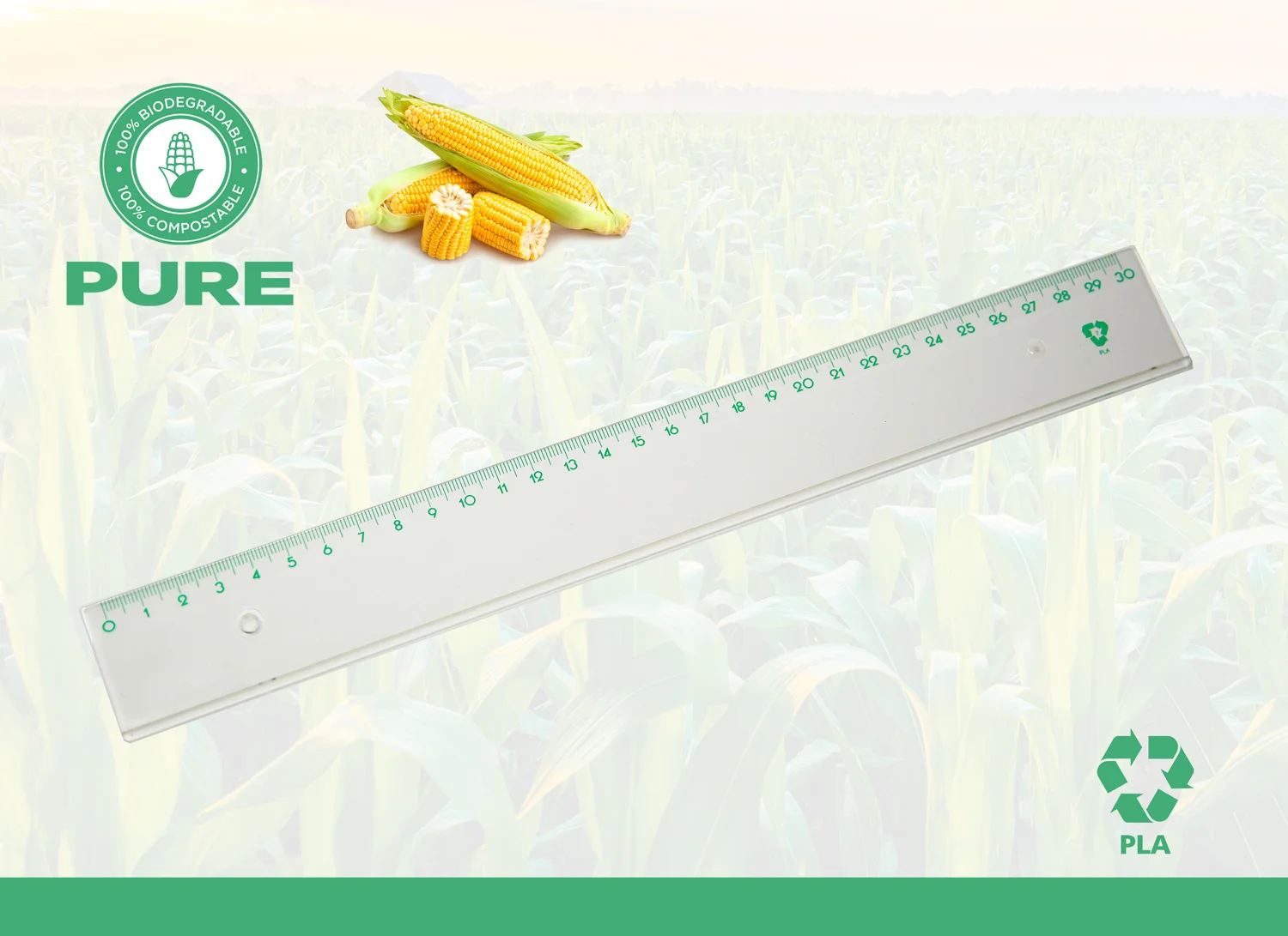 100% italian transparent compostable PLA polylacticacid 100% biodegradable plastic ruler 30 cm for school