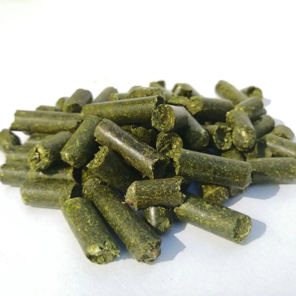 BUY ALFAFA HAY in BALES TIMOTHY and PELLETS FACTORY PRICE