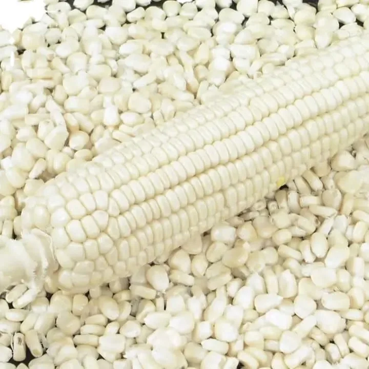 Premium Non-GMO White Maize - Bulk Grain for Human Consumption