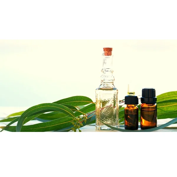 Customized Packaging Eucalyptus Essential Oil 10ml Bottle for Skin Use Direct From Manufacturer Bulk Supplier