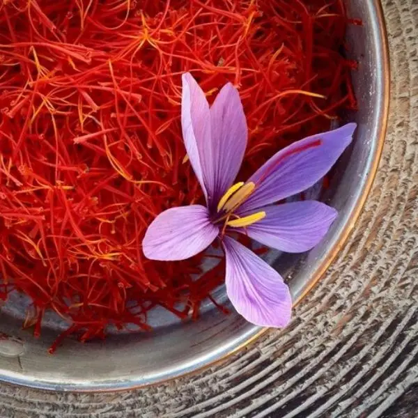 Super Negin Saffron Best Quality Kashmiri Saffron Zafran By The Supplier Isar International LLP