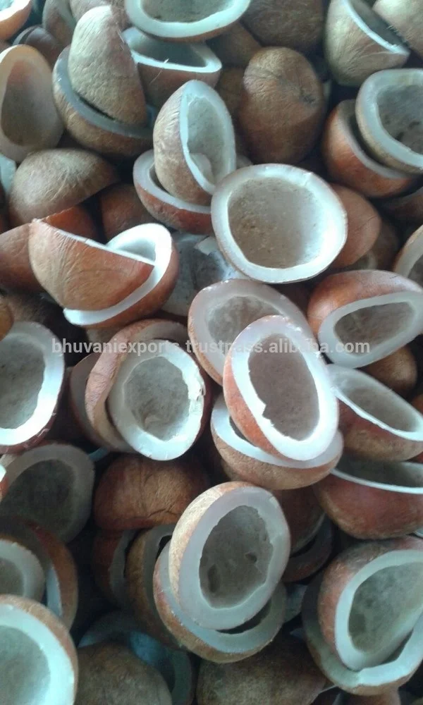 Edible Grade Whole Dried Coconut 100% Natural White Copra Reasonably Priced round Ball Style from India Exporter