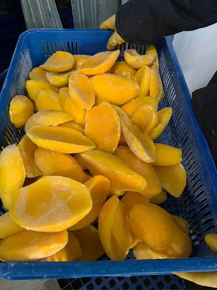 IQF Mango Slice Mango Chunks High Quality From Viet Nam Frozen Mango Stick