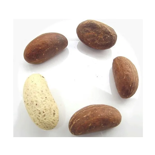 Экспортный класс garcinia kola горький