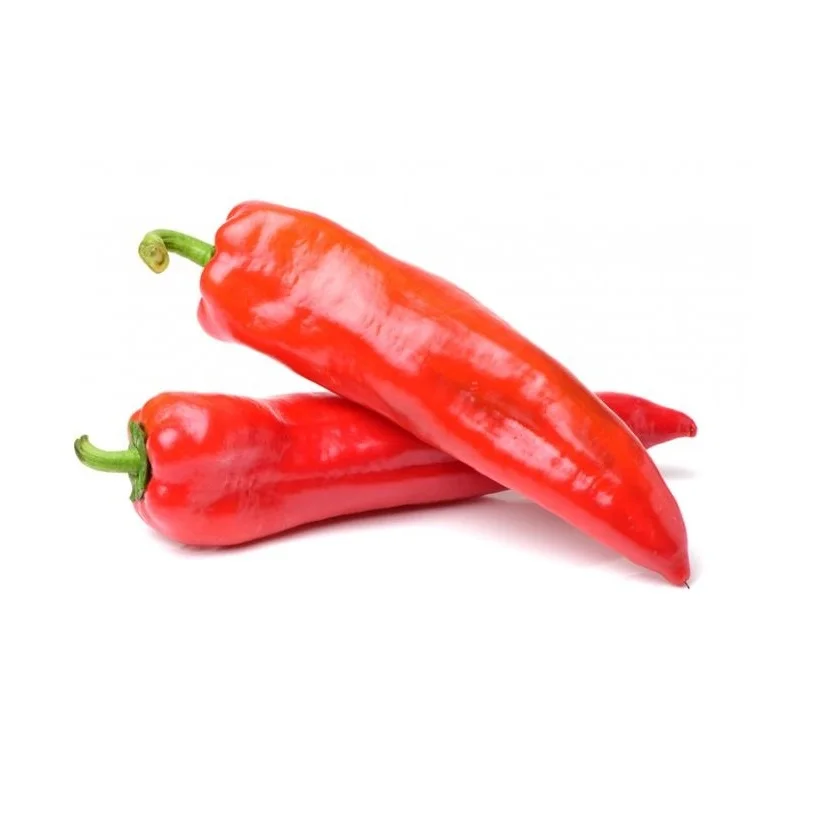 BEST CHOICE HIGH QUALITY FRESH CHILLI HERE