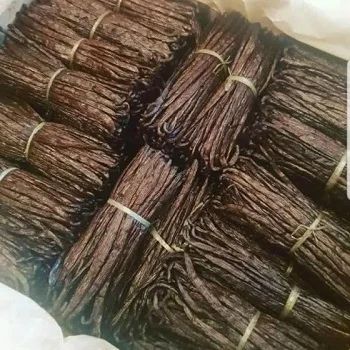 Vanilla Beans From Madagascar