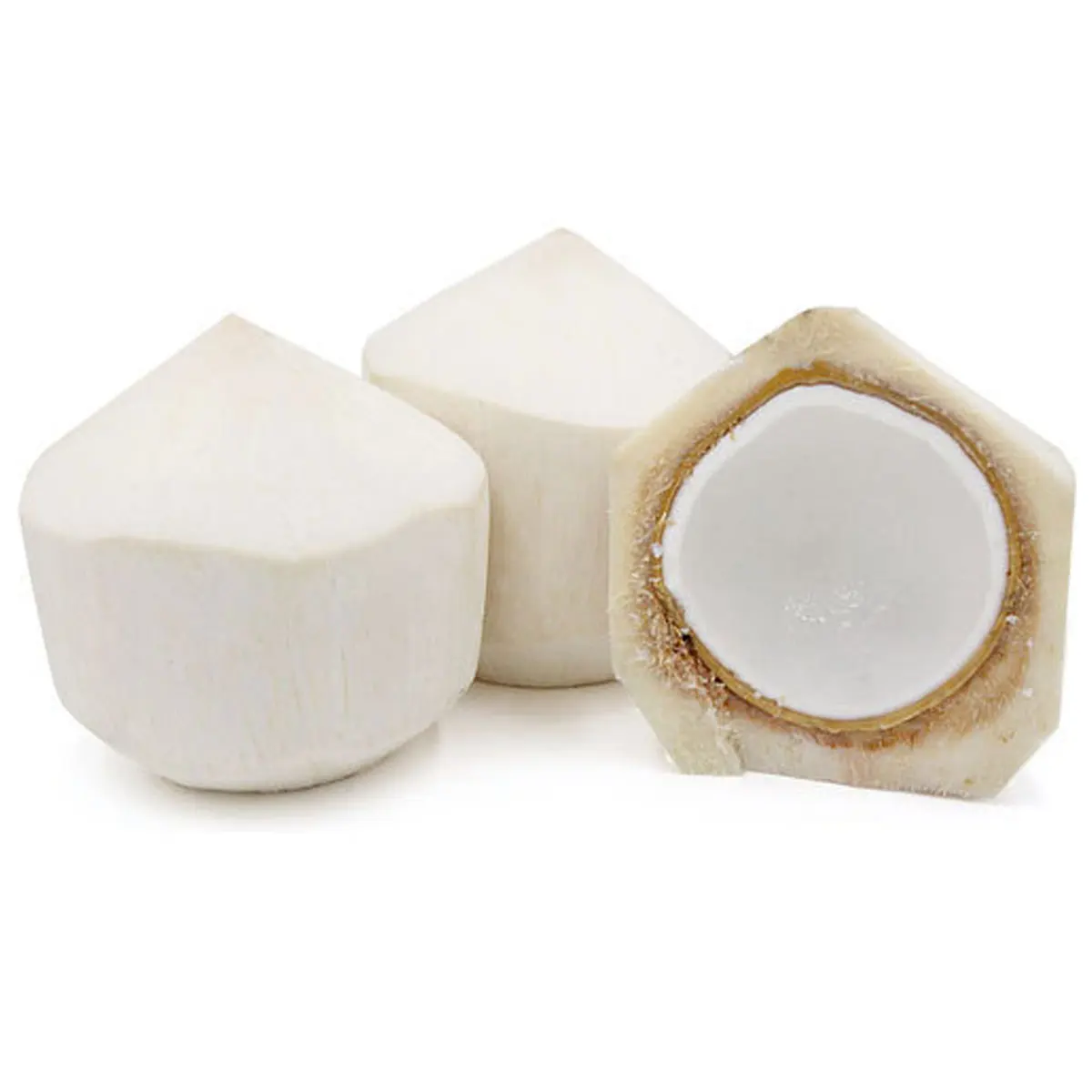 Freshly Harvested Vietnam Coconuts Sweet and Juicy with Healthy Exotic Flavor Ready for Export