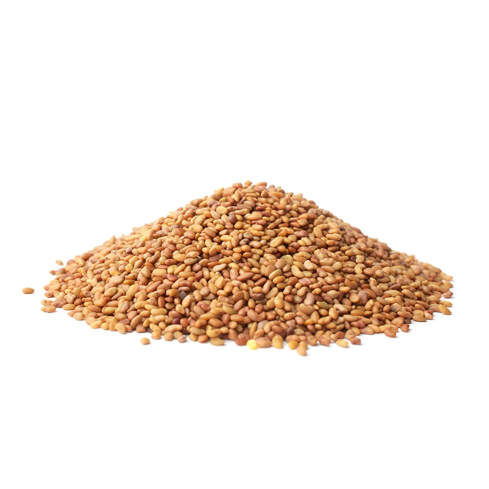 New Arrival Latest Crop Rich Ingredients Organic Lucerne Seeds / Alfalfa Seeds from Trusted Supplier