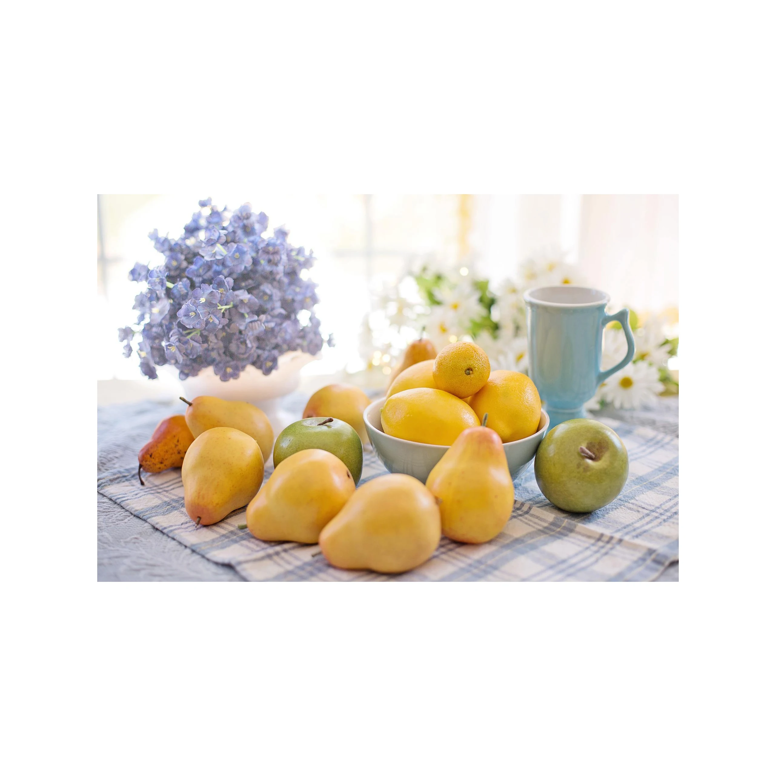 Свежий Санта-Мария, новый сезон, Лучшая цена, высокое качество, оптовая продажа, высокое качество