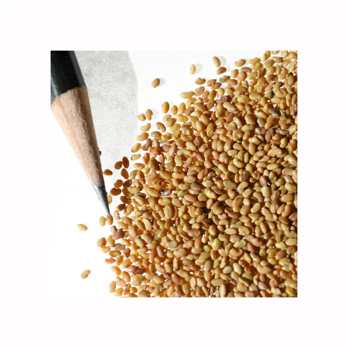 Органические семена люцерны для прорастания Non GMO Sproutable - by Food To Live