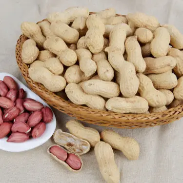 Wholesale Jumbo Peanuts 100% Natural Peanut Kernels Cheap Un shell Raw Peanuts