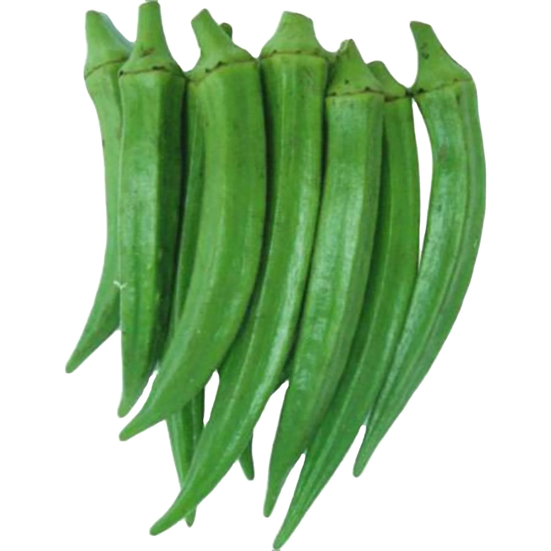 Okra Arka Anamika  fruit color