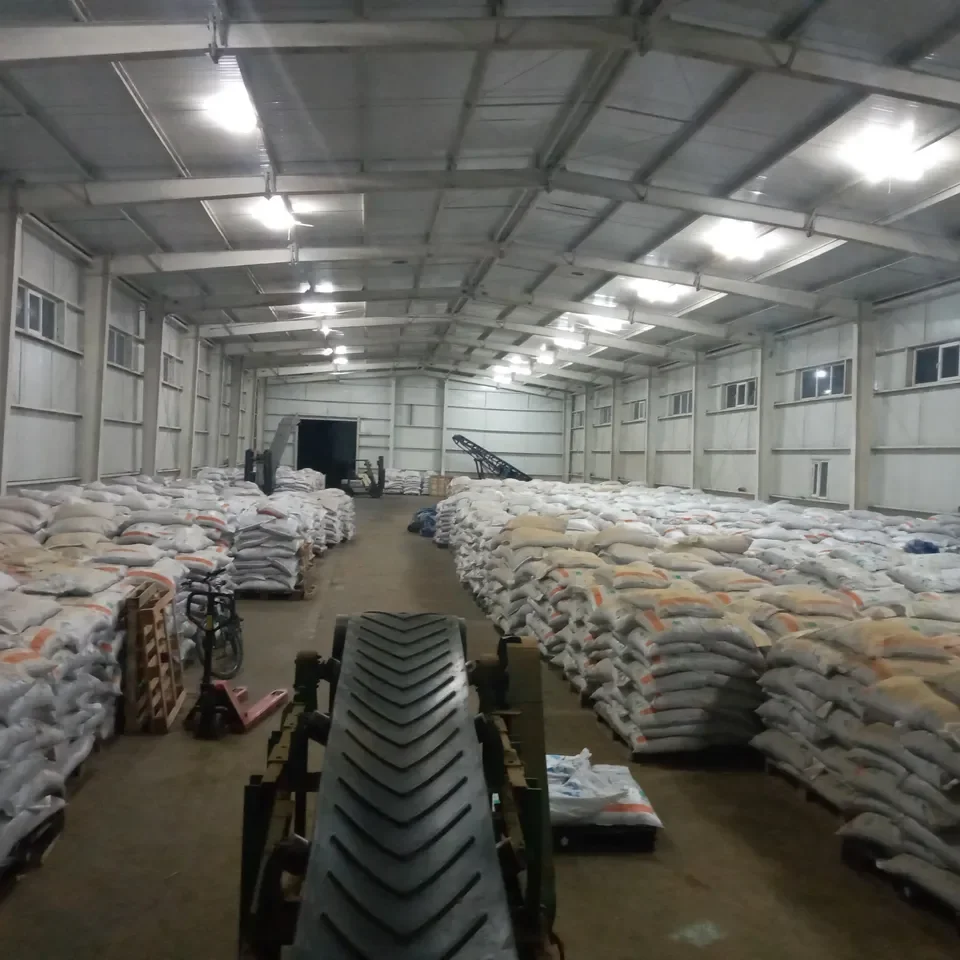 Premium Rapeseed Meal Meat And Bone Meal  And Canola Meal Available