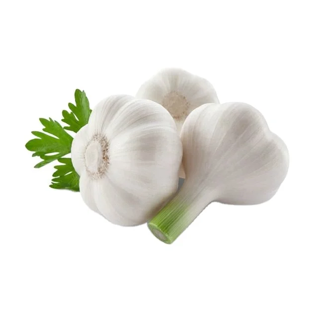 100% Natural Quality Fresh White Garlic Fresh Vegetable Bulk Garlics For Sale