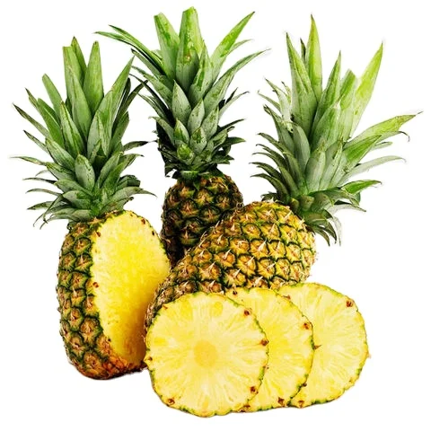 PREMIUM FRESH PINEAPPLE Choice Tropical Style Weight Origin Type Variety Size Product Fruit Place Model HACCP Cultivation Buyer