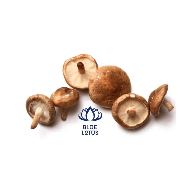Сушеные грибы Shiitake для сельского хозяйства Вьетнам