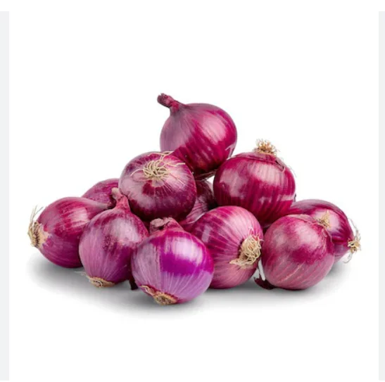 2024 Buy Export Quality Delicious Red Onion Wholesale Bulk Purchase Fast Shipping for Sale