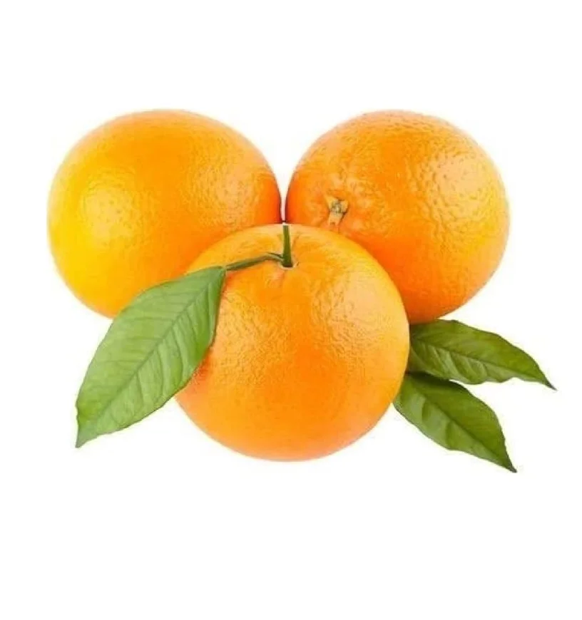 Orange Valencia Orange Fresh Fruits High Quality Fresh Organic Orange