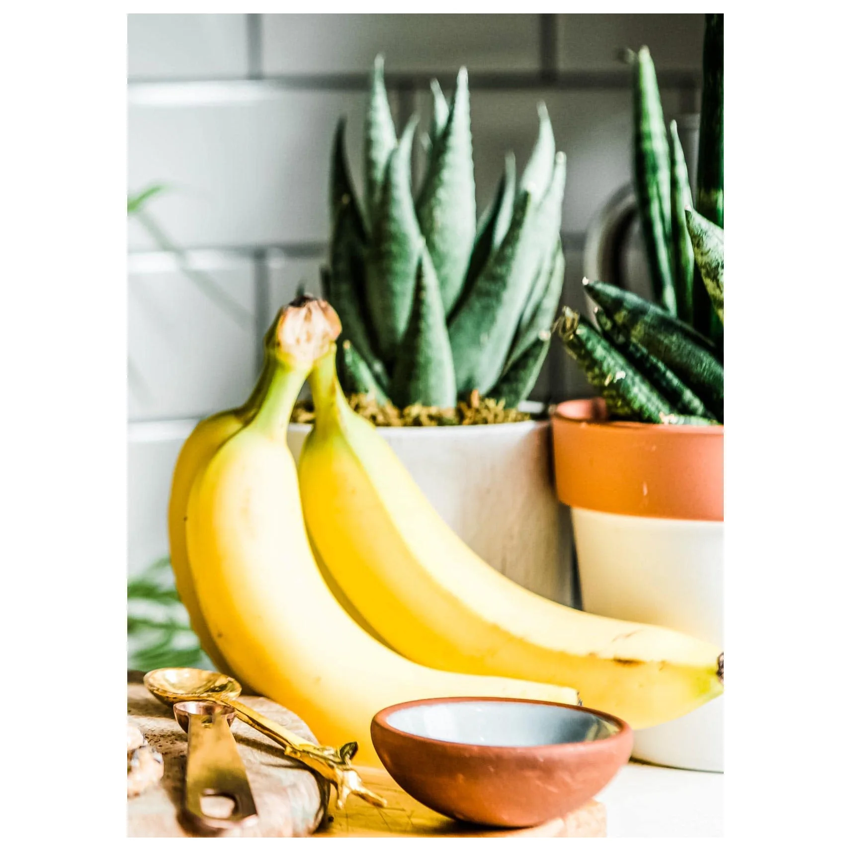 Wholesale Cavendish Top Selling   Fresh Bananas  Fresh cavendish banana Organic Cultivation Type Name Sweet Taste