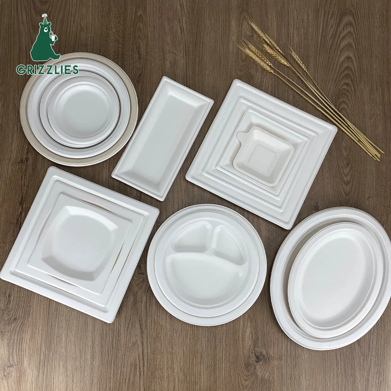 Professional custom party food plate lfgb safety disposable plates sets low price for home