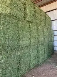 Bales Alfalfa Hay Timothy Hay Bales Oats Hay Bulk Top Grade Alfalfa for Animal Feed wholesale