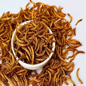 high-protein micro-dried mealworms for animal