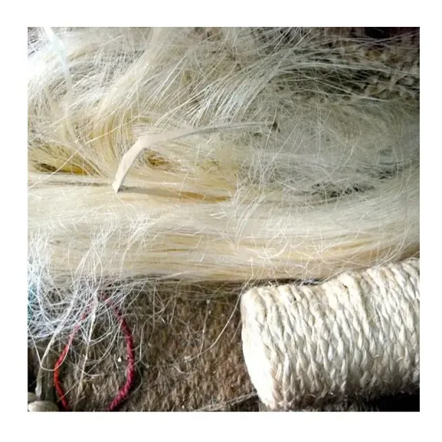 Cheap Sales Of Quality Sisal Fibre Sisal Hemp Natural UG Grade Sisal Fiber Belgium