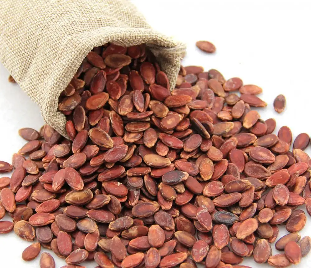 Best Seller Vietnam Popular the Watermelon Seed for Tet