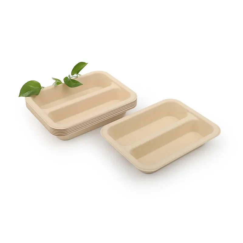 Biodegradable 1/2/3 compartment Eco Friendly Bamboo pulp Disposable Takeaway Paper Plates food tray