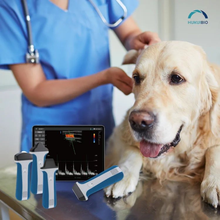 Private Custom High Quality Wireless 128 elements Linear Veterinary Ultrasound