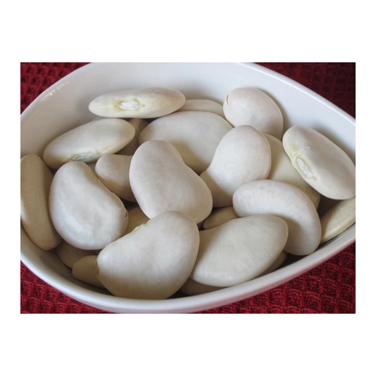 IQF Organic Frozen Lima Beans High Quality Canned Lima Beans for Sale