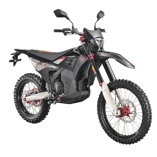 Arctic Leopard EXE 880 Cheetah EXE880 125km /H 37KW 90V 75Ah Offroad E Motorcycle Electric Dirt Bike