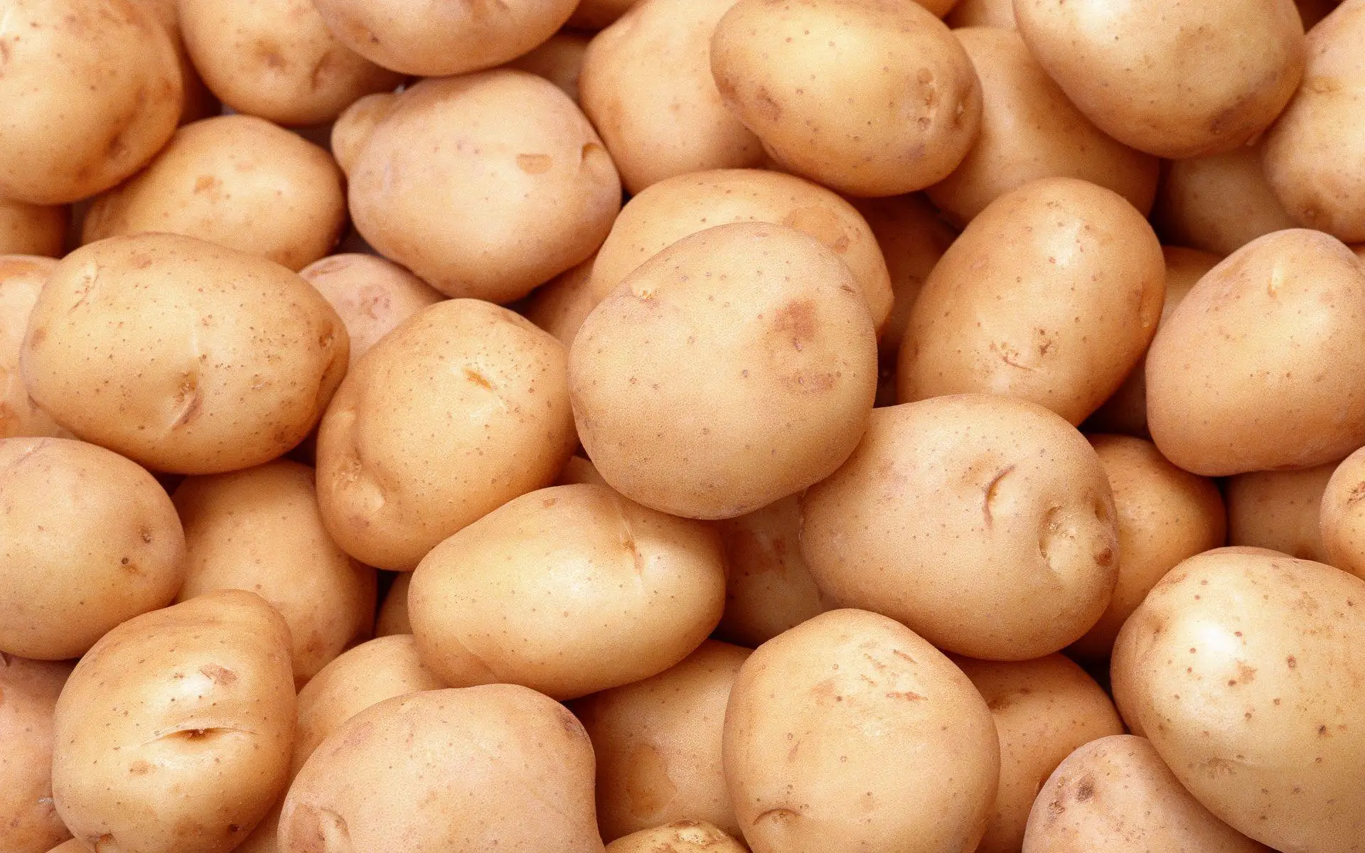 Wholesale Fresh Potatoes Organic  Potatoes 100% High Quality Export Oriented Low Price Golden Yellow Potatoes from pakistan