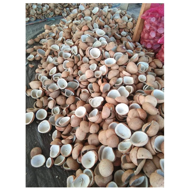 Bags White Tropical Style Packaging Mature Organic Pulp Color Pure Weight Brown Natural Origin Type Full Coconut Quality Variety