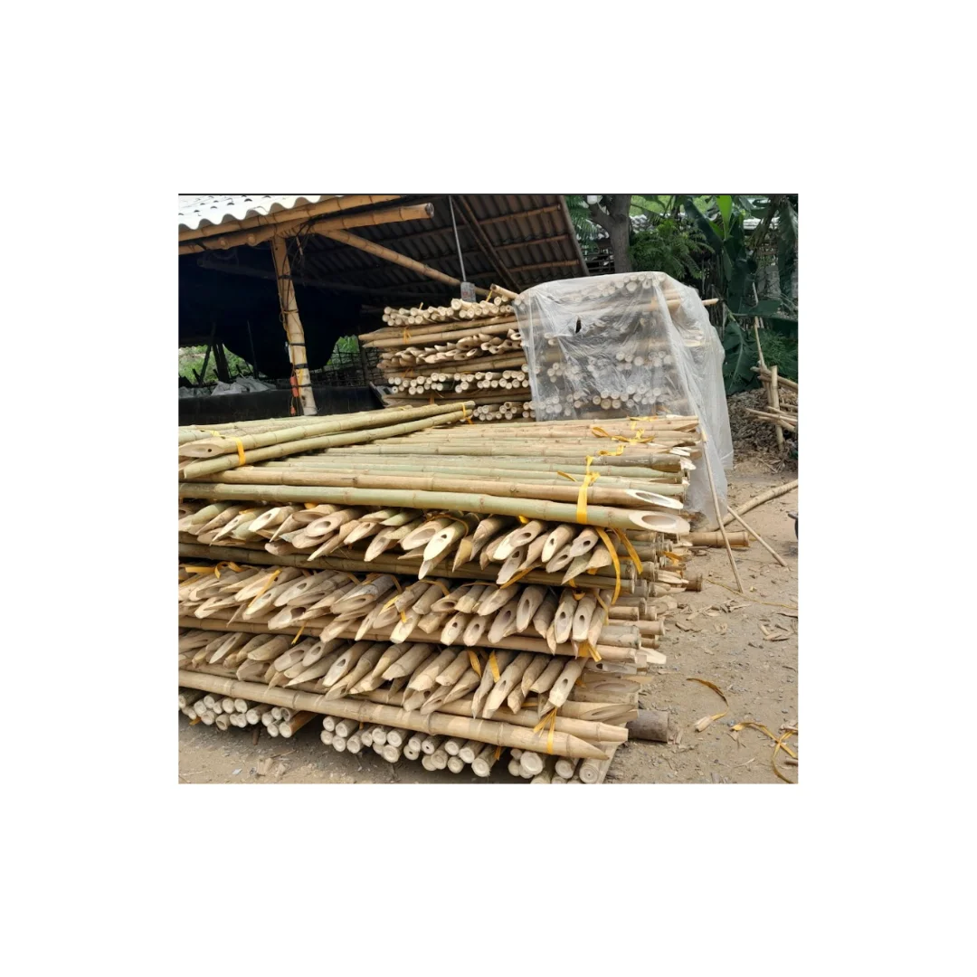 Bamboo Poles 100% Natural Customize Length and Diameter Sale With Factory Direct Price Best Use for Garden Farming Purpose