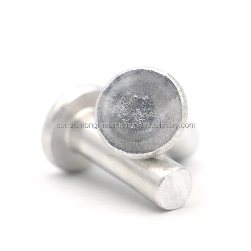 Aluminium Steel Material  Head Blind Rivet Nail Aluminum Boat Rivets Common Nails