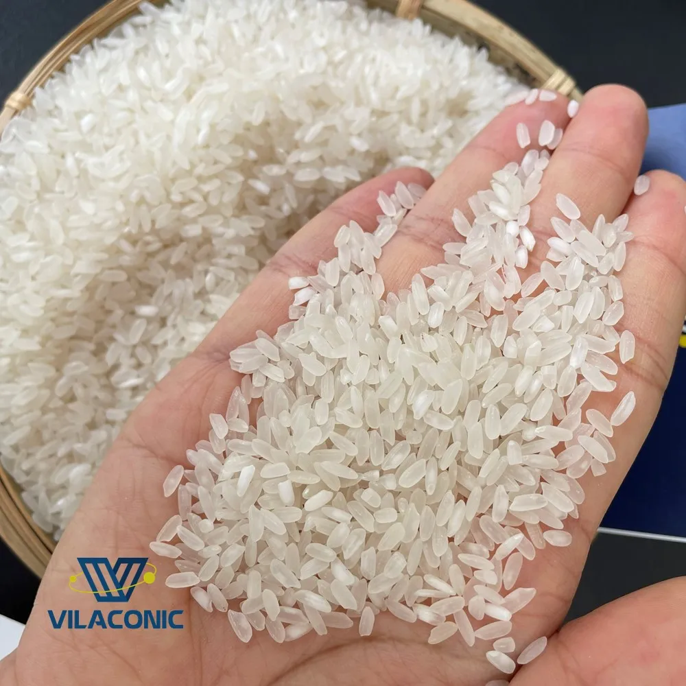 MEDIUM GRAIN CAMOLINO EGYPTIAN WHITE  RICE 5% BROKEN EXPORT WHOLESALE PREMIUM FROM VIETNAM MANUFACTURER +84 964 660 879