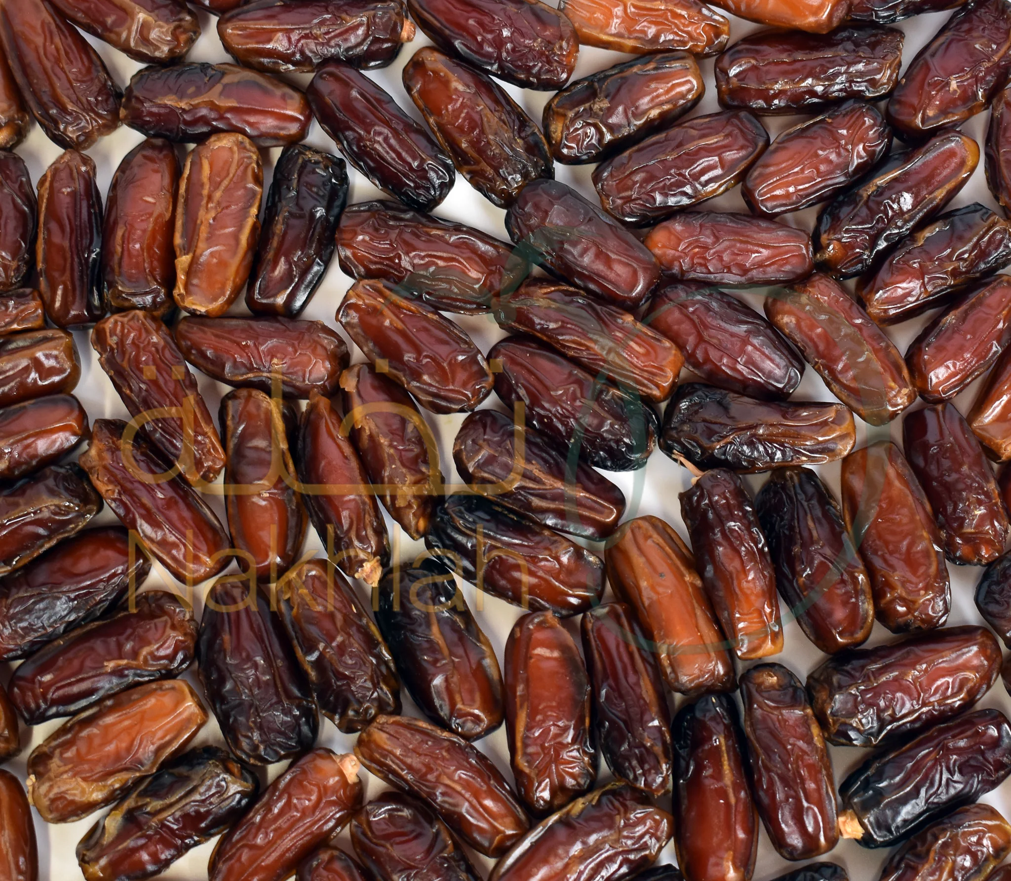 Mabroom Dates Saudi Arabia Premium Quality Mabroom dates Bulk Carton 5Kg Sweet Taste Dates Factory Saudi Arabia