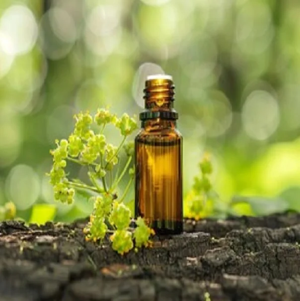 100% Pure Galbanum Essential Oil At low Price I