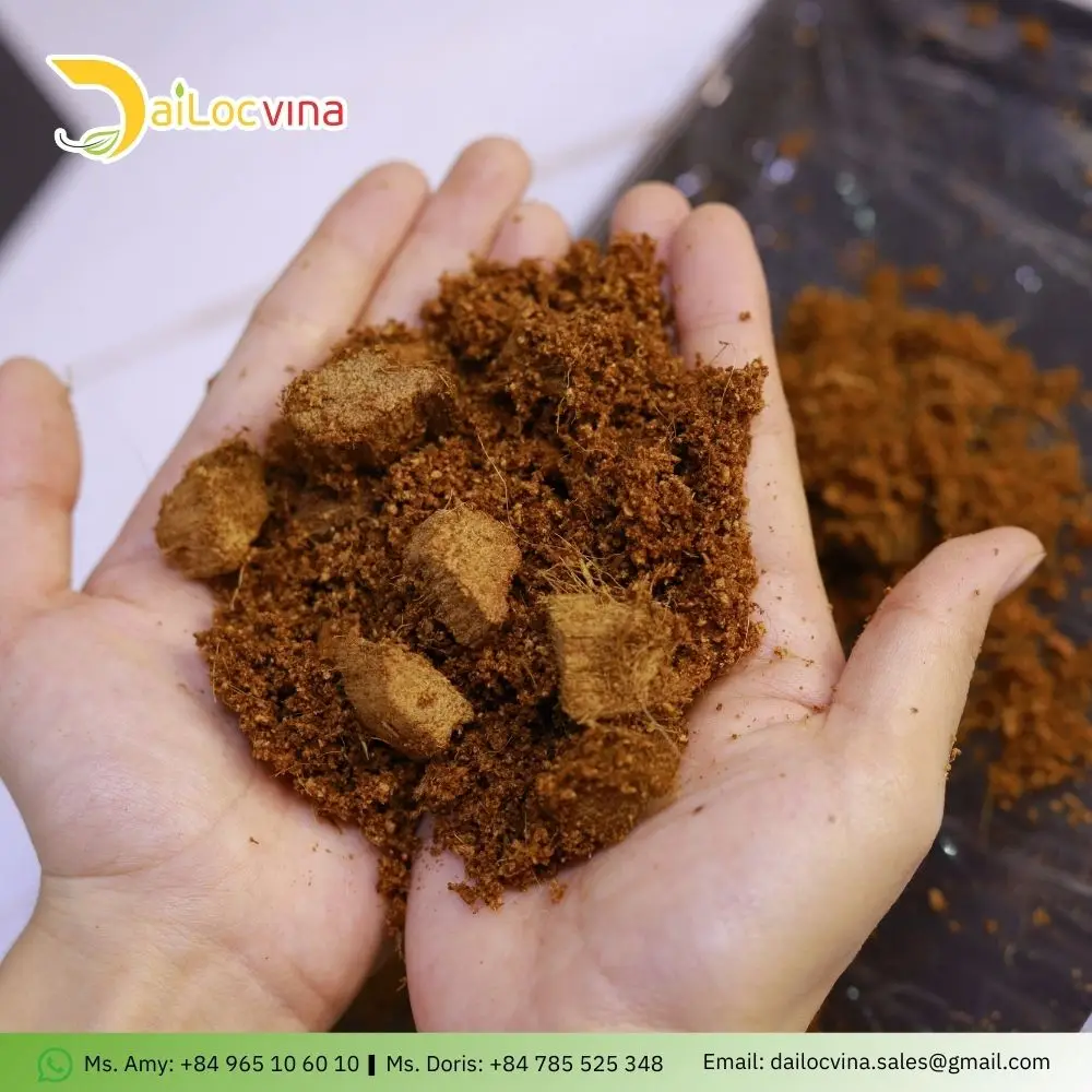 MIXING BETWEEN COCO PEAT AND COCO CHIP SUITABLE FOR GROWING MEDIUM