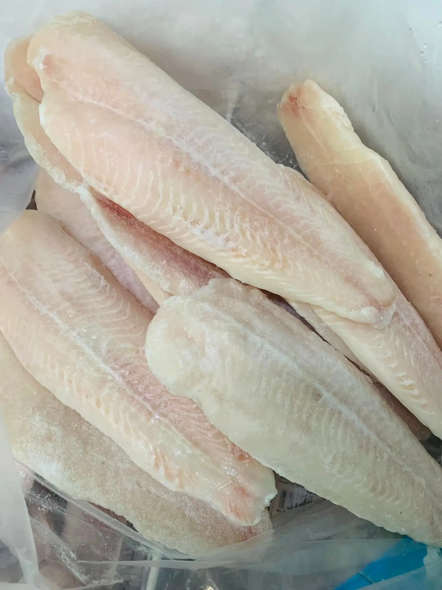 Frozen Pangasius/ Basa fish Fillet high quality 10 kgs with 87% max Max Moisture well trimmed meat
