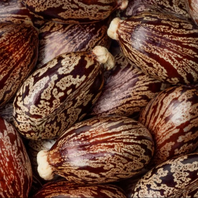 Касторовое масло 100% чистое и натуральное