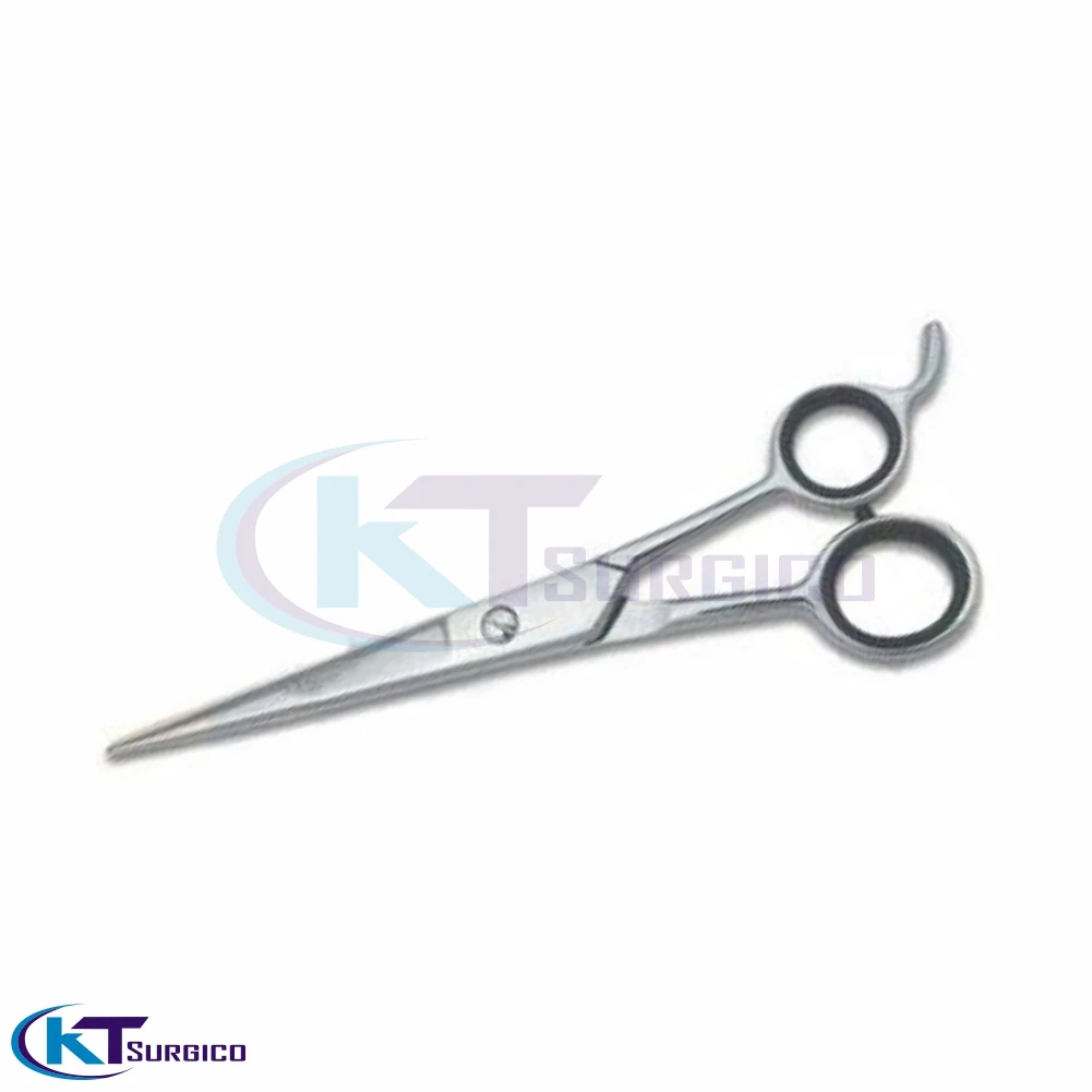 Professional Stainless Steel Barber Scissors/Thinning Shears Hot Sale Hairdressing Salon Beauty Accessories with Sharp Blade Tip