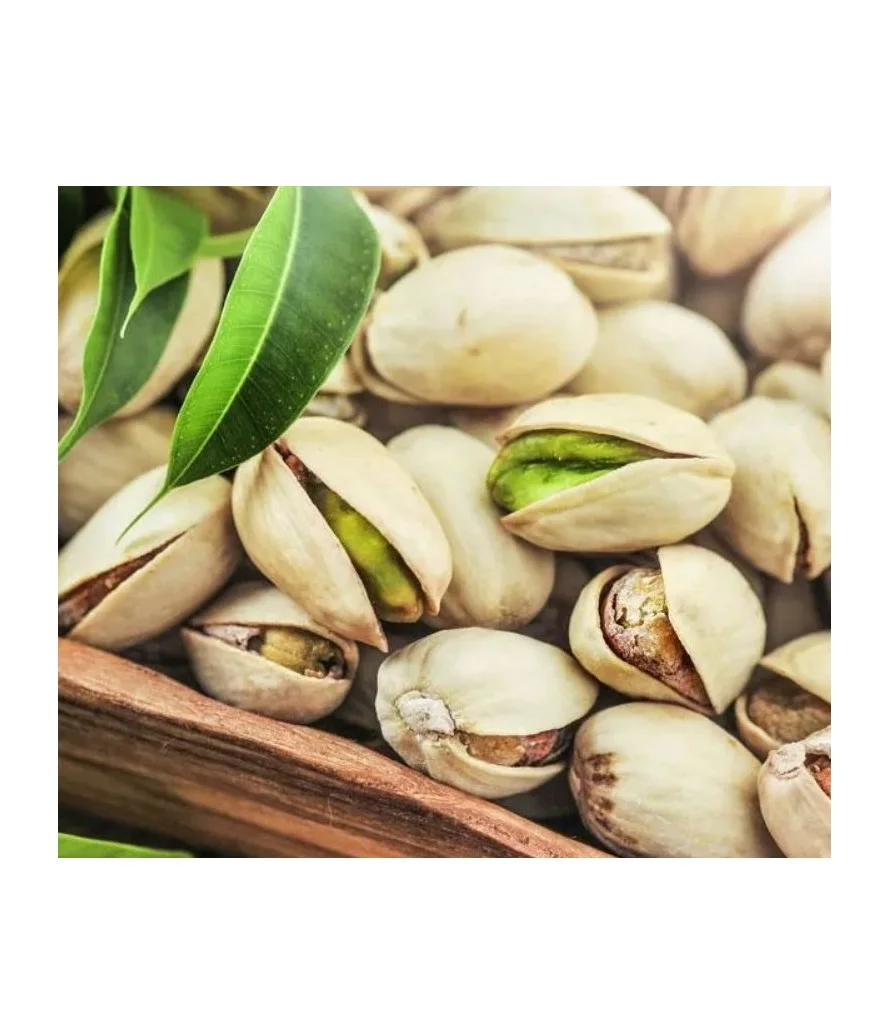 High Quality Inshelled Pistachio Wholesale Product - The Most Preferred Pistachio Nuts