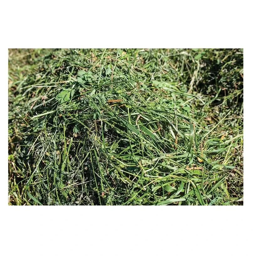 Affordable Alfalfa Hay for Sale High Quality Rhodes Grass Hay and Alfalfa Hay Pellets for Animal Feeding