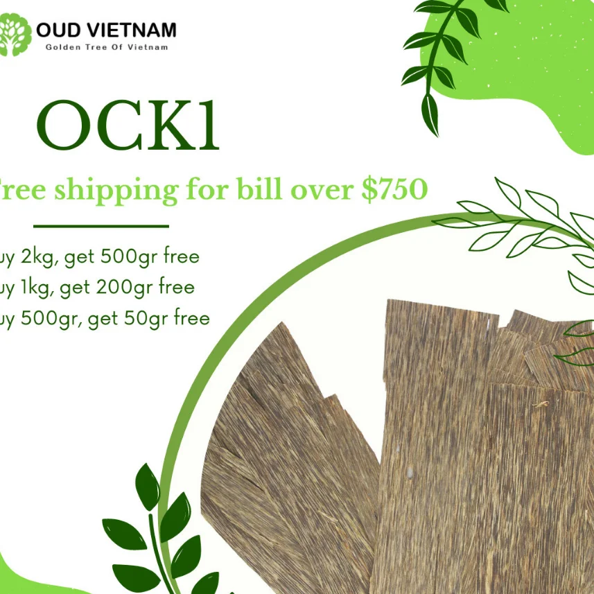 TRIPLE SUPER GRADE 2 SIDES FLAT OUD CHUNK FROM PURE OUD VIETNAM WITH GOOD HANDCRAFT METHOD